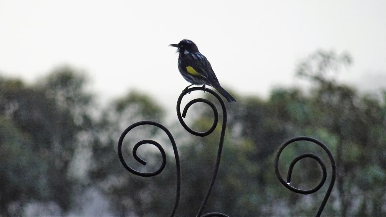 Austiny Bed And Breakfast Victor Harbor Esterno foto