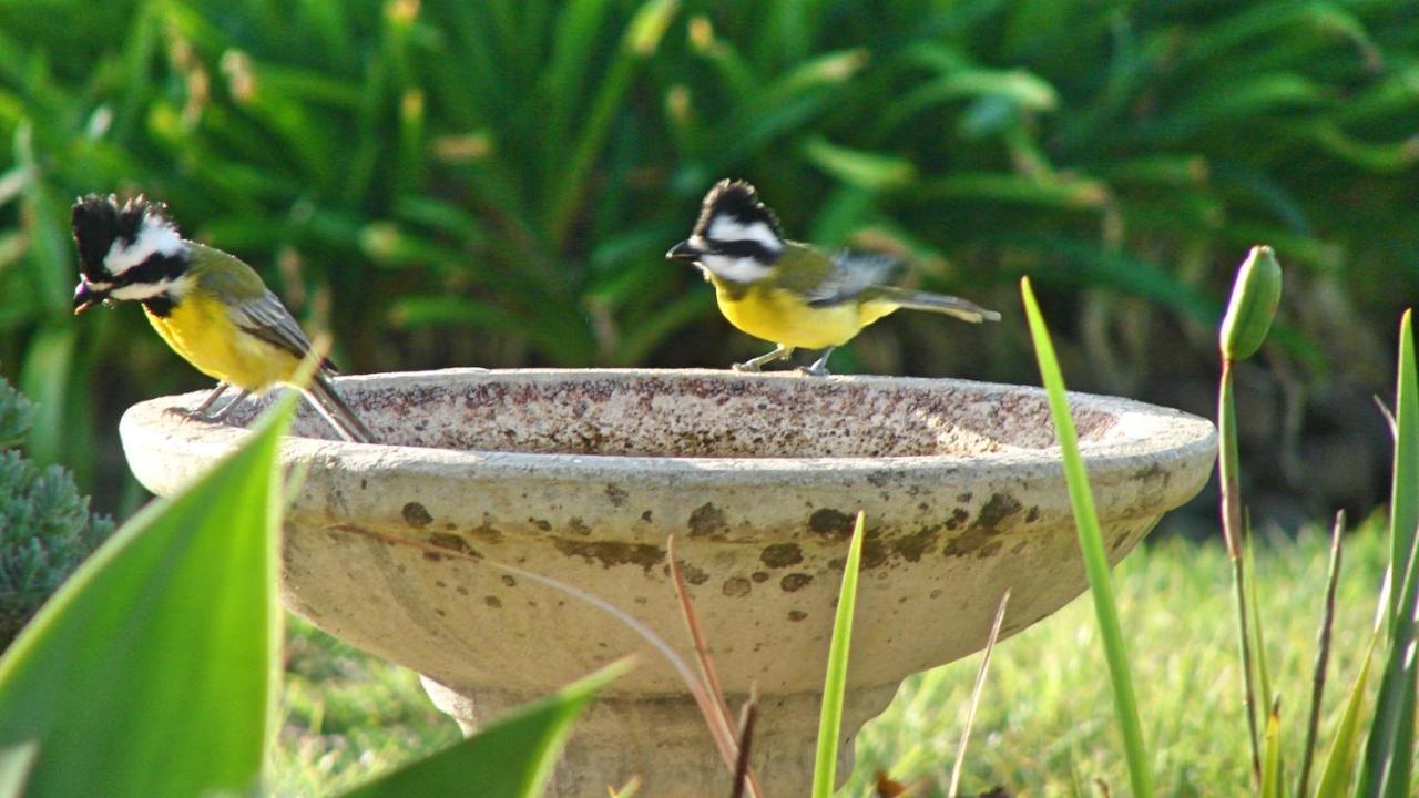 Austiny Bed And Breakfast Victor Harbor Esterno foto